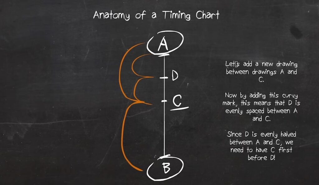 A circle marked D between A and C, connected by a curvy line to denote even spacing, explaining an animation principle